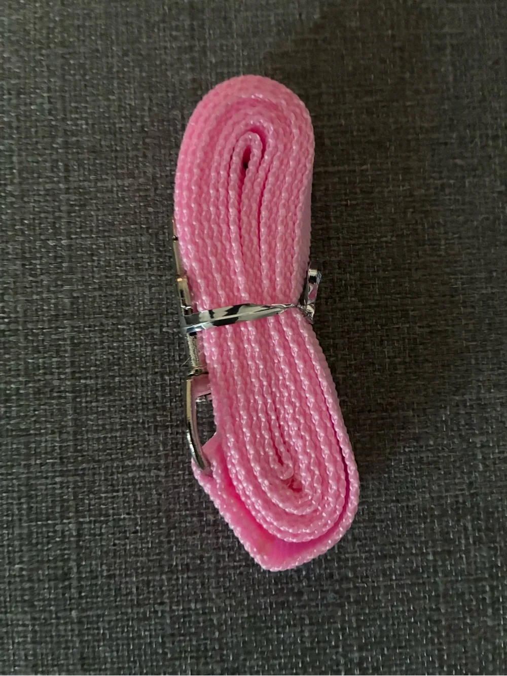 NWOT Pink Dog Leash